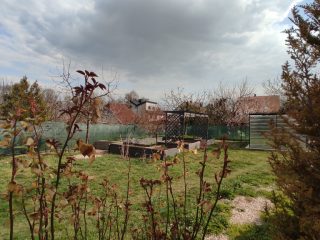 Eladó 54 m²-escsaládi ház Adony, Táncsics Mihály utca: 39'900'000 Ft