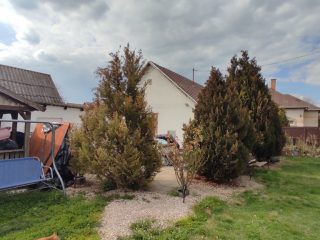 Eladó 50 m²-escsaládi ház Adony, Táncsics Mihály utca: 33'900'000 Ft