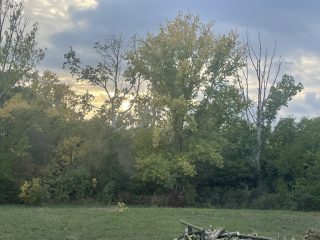 Eladó 817 m²-estelek Agárd, Agárd utca: 35'900'000 Ft