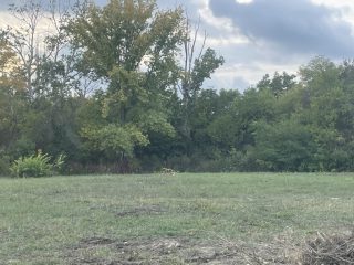 Eladó 817 m²-estelek Agárd, Agárd utca: 35'900'000 Ft