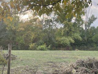 Eladó 817 m²-estelek Agárd, Agárd utca: 35'900'000 Ft