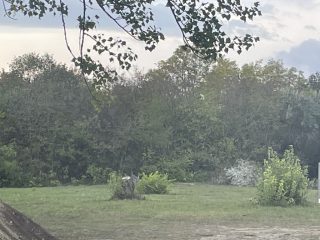 Eladó 817 m²-estelek Agárd, Agárd utca: 35'900'000 Ft