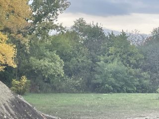 Eladó 817 m²-estelek Agárd, Agárd utca: 35'900'000 Ft