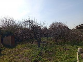 Eladó 834 m²-estelek Alsónémedi, Haraszti út: 41'992'000 Ft