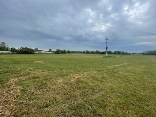 Eladó 22450 m²-esmezőgazdasági ingatlan Alsónémedi, Külterületi telep: 155'000'000 Ft