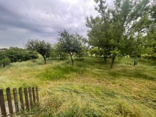 Eladó 22450 m²-esmezőgazdasági ingatlan Alsónémedi, Külterületi telep: 155'000'000 Ft