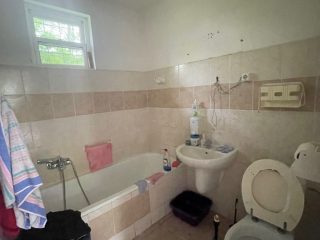 Eladó 22450 m²-esmezőgazdasági ingatlan Alsónémedi, Külterületi telep: 155'000'000 Ft