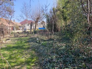 Eladó 90 m²-escsaládi ház Alsónémedi, Liliom utca: 57'900'000 Ft