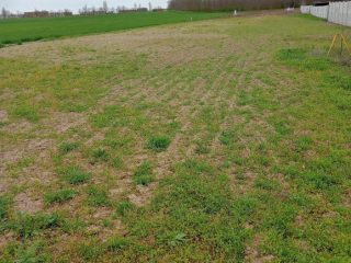 Eladó 991 m²-estelek Áporka, Béke utca közeli utca: 24'000'000 Ft