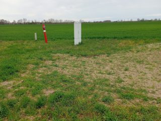 Eladó 991 m²-estelek Áporka, Béke utca közeli utca: 24'000'000 Ft