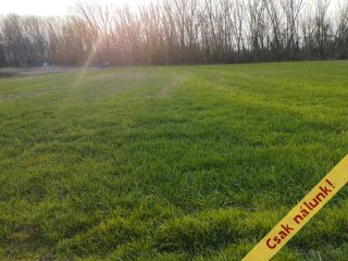 Eladó 950 m²-estelek Áporka, Petőfi utca: 22'500'000 Ft