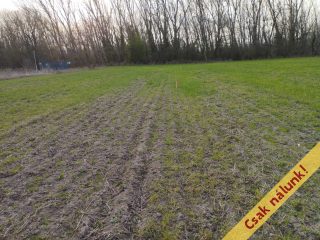 Eladó 794 m²-estelek Áporka, Petőfi utca: 21'500'000 Ft