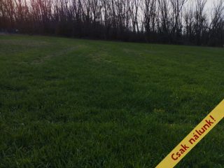 Eladó 794 m²-estelek Áporka, Petőfi utca: 21'500'000 Ft