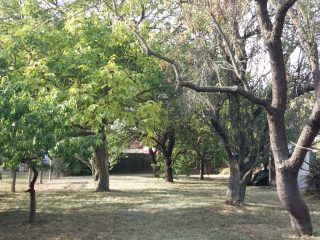 Eladó 1039 m²-estelek Aszófő, Rendezett utca: 43'000'000 Ft