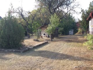 Eladó 1039 m²-estelek Aszófő, Rendezett utca: 43'000'000 Ft