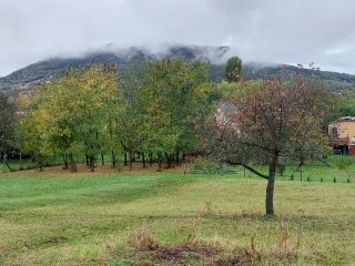 Eladó 90 m²-escsaládi ház Badacsonytomaj, BADACSONYÖRS: 115'900'000 Ft