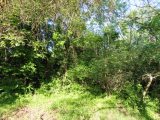 Eladó 2160 m²-estelek Badacsonytomaj, Badacsonyörs: 21'900'000 Ft