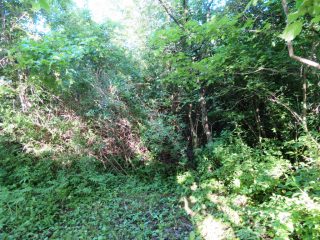 Eladó 2160 m²-estelek Badacsonytomaj, Badacsonyörs: 21'900'000 Ft