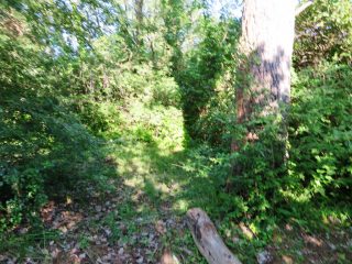 Eladó 2160 m²-estelek Badacsonytomaj, Badacsonyörs: 21'900'000 Ft