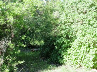 Eladó 2160 m²-estelek Badacsonytomaj, Badacsonyörs: 21'900'000 Ft