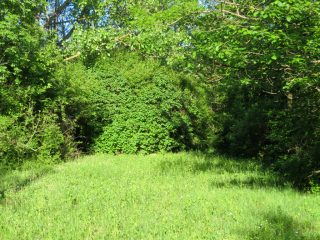 Eladó 2160 m²-estelek Badacsonytomaj, Badacsonyörs: 21'900'000 Ft