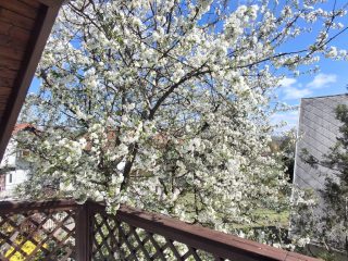 Eladó 215 m²-escsaládi ház Balatonalmádi, Vörösberény: 245'000'000 Ft