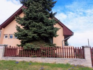 Eladó 320 m²-escsaládi ház Balatonendréd, Balatonendréd utca: 135'000'000 Ft