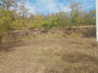 Eladó 4995 m²-estelek Balatonendréd, Zártkert utca: 14'490'000 Ft