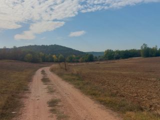 Eladó 4995 m²-estelek Balatonendréd, Zártkert utca: 14'490'000 Ft