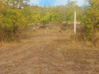 Eladó 4995 m²-estelek Balatonendréd, Zártkert utca: 14'490'000 Ft