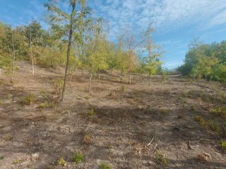 Eladó 4995 m²-estelek Balatonendréd, Zártkert utca: 14'490'000 Ft