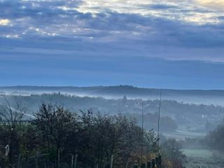 Eladó 4995 m²-estelek Balatonendréd, Zártkert utca: 14'490'000 Ft