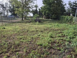 Eladó 552 m²-estelek Balatonfenyves, Könnyen megközelíthető utca: 25'000'000 Ft