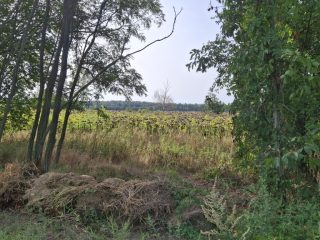 Eladó 552 m²-estelek Balatonfenyves, Könnyen megközelíthető utca: 25'000'000 Ft