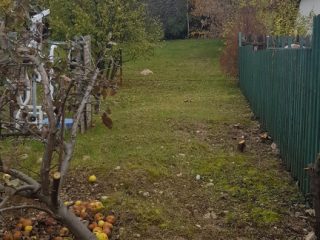 Eladó 844 m²-estelek Balatonfüred, Csendes utca: 79'000'000 Ft