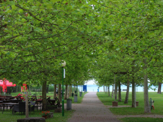 Eladó 83 m²-escsaládi ház Balatonfűzfő, TOBRUK: 55'000'000 Ft