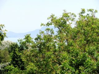 Eladó 400 m²-esüdülő Balatonmáriafürdő, Partközeli utca: 365'000'000 Ft