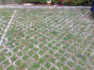 Eladó 95 m²-estársasházi lakás Balatonőszöd, VÍZPART: 147'900'000 Ft