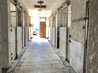 Eladó 22551 m²-esmezőgazdasági ingatlan Balatonszabadi, Külsőhegy utca: 98'000'000 Ft