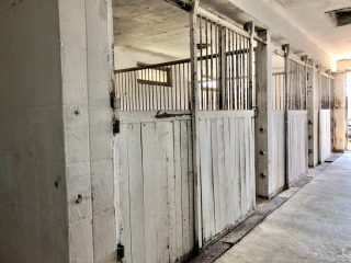 Eladó 22551 m²-esmezőgazdasági ingatlan Balatonszabadi, Külsőhegy utca: 98'000'000 Ft