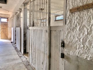 Eladó 22551 m²-esmezőgazdasági ingatlan Balatonszabadi, Külsőhegy utca: 98'000'000 Ft