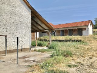 Eladó 22551 m²-esmezőgazdasági ingatlan Balatonszabadi, Külsőhegy utca: 98'000'000 Ft