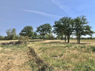 Eladó 22551 m²-esmezőgazdasági ingatlan Balatonszabadi, Külsőhegy utca: 98'000'000 Ft