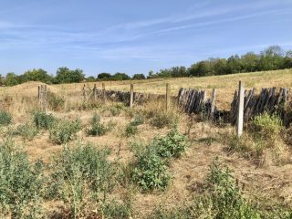 Eladó 22551 m²-esmezőgazdasági ingatlan Balatonszabadi, Külsőhegy utca: 98'000'000 Ft