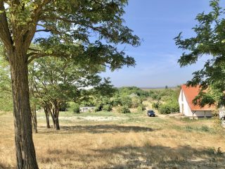 Eladó 22551 m²-esmezőgazdasági ingatlan Balatonszabadi, Külsőhegy utca: 98'000'000 Ft