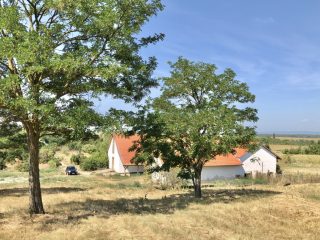 Eladó 22551 m²-esmezőgazdasági ingatlan Balatonszabadi, Külsőhegy utca: 98'000'000 Ft