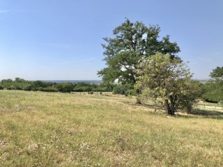 Eladó 22551 m²-esmezőgazdasági ingatlan Balatonszabadi, Külsőhegy utca: 98'000'000 Ft