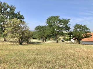 Eladó 22551 m²-esmezőgazdasági ingatlan Balatonszabadi, Külsőhegy utca: 98'000'000 Ft