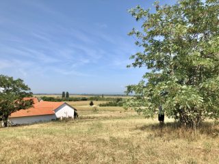 Eladó 22551 m²-esmezőgazdasági ingatlan Balatonszabadi, Külsőhegy utca: 98'000'000 Ft