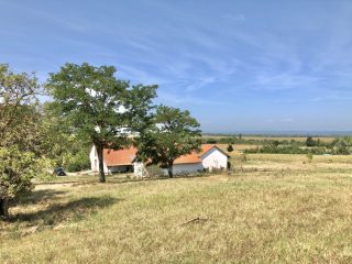 Eladó 22551 m²-esmezőgazdasági ingatlan Balatonszabadi, Külsőhegy utca: 98'000'000 Ft